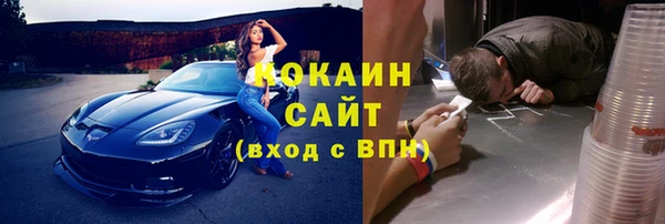 крисы Абаза