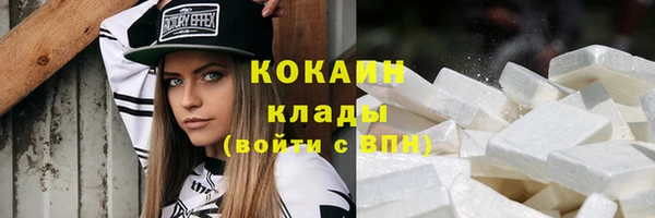 крисы Абаза