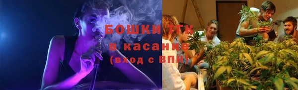 крисы Абаза