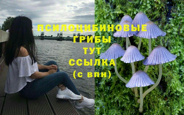 кокаин VHQ Алексеевка