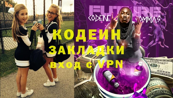крисы Абаза