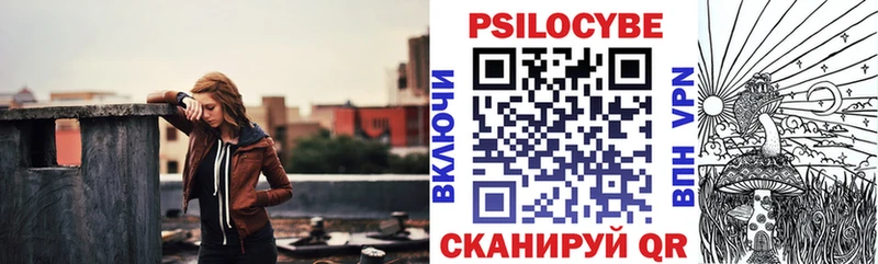 кракен   Северодвинск  Псилоцибиновые грибы Psilocybine cubensis 