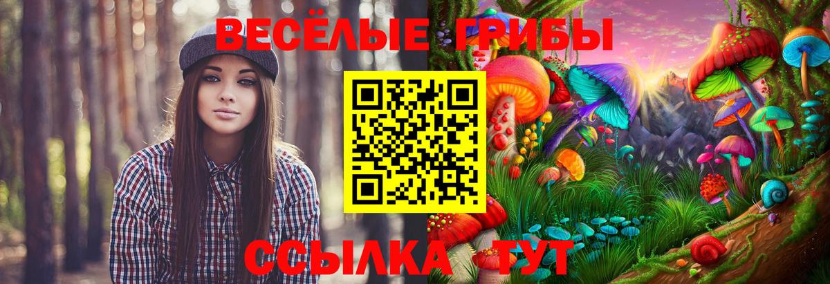 Галлюциногенные грибы Cubensis  Вход с VPN  Северодвинск 
